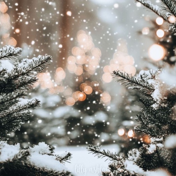 Meet your Posher, Courtney - Picture 1 of 1